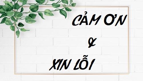 Các cách nói cảm ơn và xin lỗi bằng tiếng Việt - Tiếng Việt online